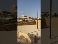 جولة في الدرعية