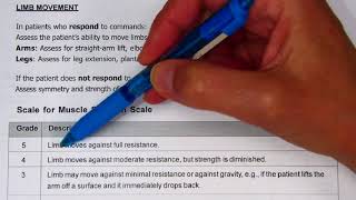 Documentation on a Neurological Observation Record after a patient assessment
