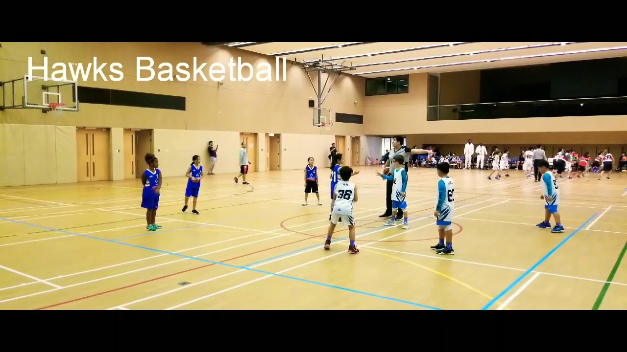 Hawks Basketball Game - YouTube
