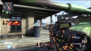I1 Smokey- Multi Cod Minitage