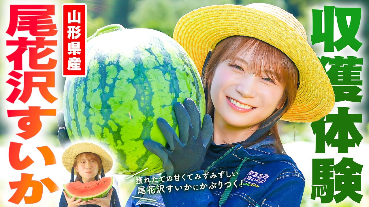 Akimoto Manatsu heads to Yamagata Prefecture to harvest