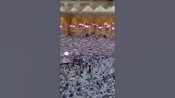 تلاوة صادحة متميزة للشيخ: علي جابر رحمه الله.