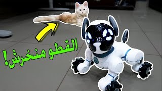 اغرب الاشياء اللي ممكن تشتريها من امازون | الكلب الآلي الذكي!! #5