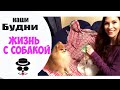 Покупки из ЗООМАГАЗИНА | Жизнь с Собакой