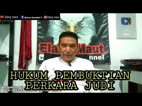 Video: Mengapa sabung ayam satu perkara?