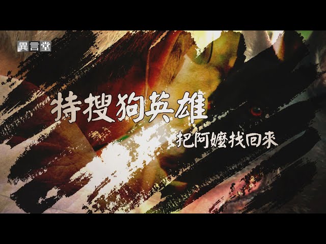 【民視異言堂｜特搜狗英雄─把阿嬤找回來】台灣失智人口攀升 有三成曾走失 路徑搜救犬 靠嗅覺帶長輩找回家的路