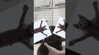 Laws Of Physics Explanation