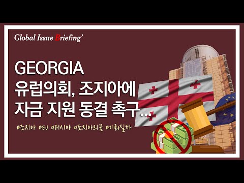 Vol.183 유럽의회, 조지아에 대한 자금💰 지원 동결 촉구🔒