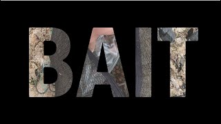 How to catch bait in Shark River Inlet
