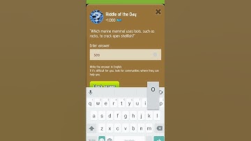 Riddle of the day zoo 30,31 December #song #zoo #riddleoftheday