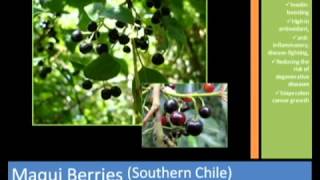 Trevo Health Benefits x264