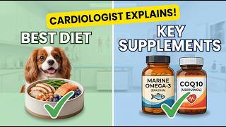Your Dog Has a Heart Murmur: The Ultimate Guide to Diet & Supplements