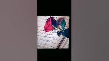 لا تتهرب من القرآن الكريم إنها 20 ثانية فقط..
