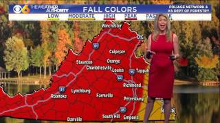 Meteorologist Nikki-Dee Ray October 30, 2015