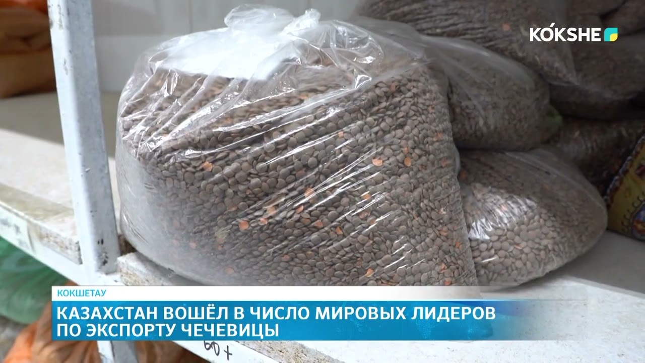 Казахстан вошёл в число мировых лидеров по экспорту чечевицы
