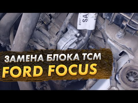 Ford Focus проблемы в блоке ТСМ