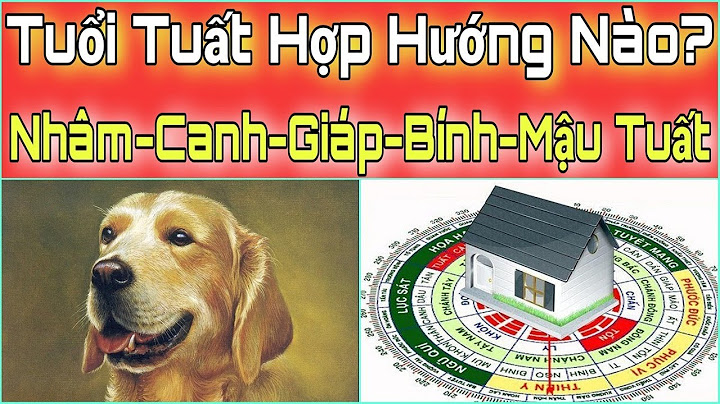 Tuổi nhâm tuất 1982 hợp nhà hướng nào năm 2024