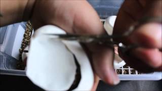 Celebrity Cutting first blood python clutch of the season Wealth