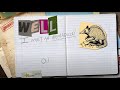 Miranda Lambert - Armadillo (Official Lyric Video)