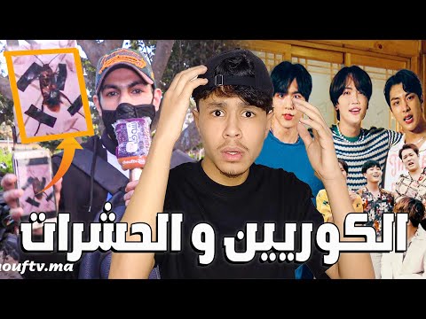 الكوريين و الحشرات