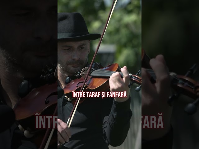 🎻 Din lemnul vechi și dorul viu se naște cântecul nostru din Moldova de Sus.
