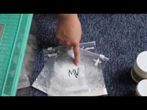 How To Dust Feeder Insects