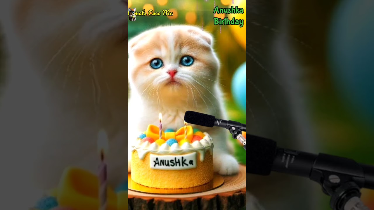HAPPY BIRTHDAY ANUSHKA | HAPPY BIRTHDAY SONG WITH NAMES | Adorable Cute Cat 😺 