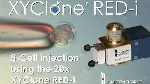 XYClone RED-i Laser: 8-cell Embryo Injection of ESC (Transgenic Mice)