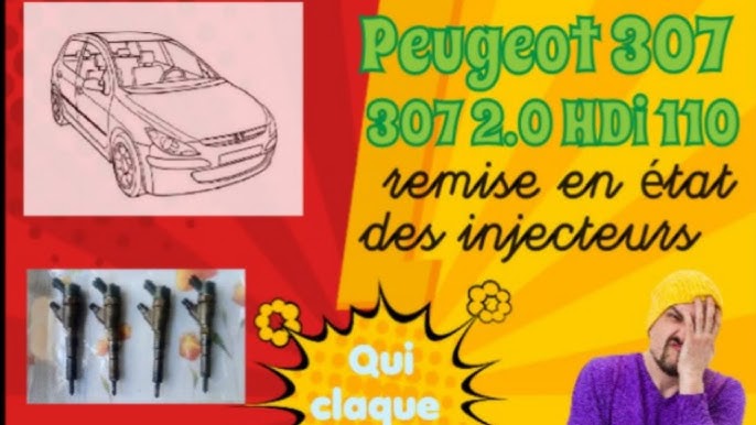 406 2.0 HDI Saccade JE REFAIS LES INJECTEURS nettoyage clean ...