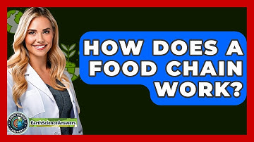 How Does A Food Chain Work? - Earth Science Answers