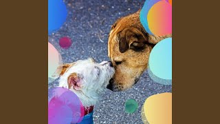 Paradise Like Welltrained Doggies