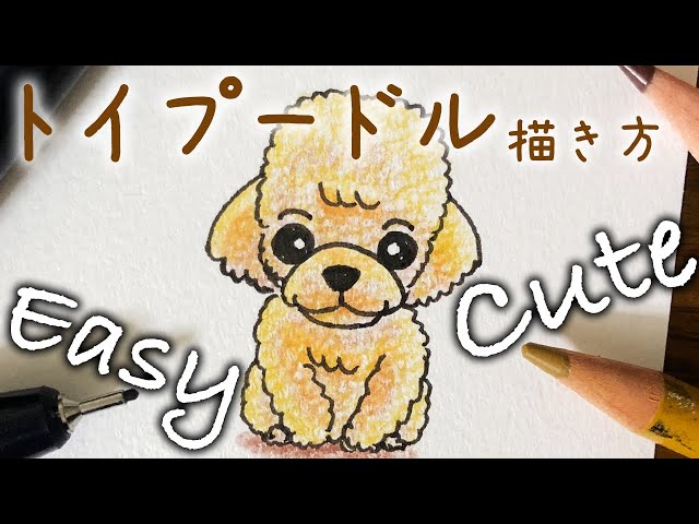 犬のイラスト 可愛いトイプードルの描き方 Stayhome And Draw Withme わんこといっしょ