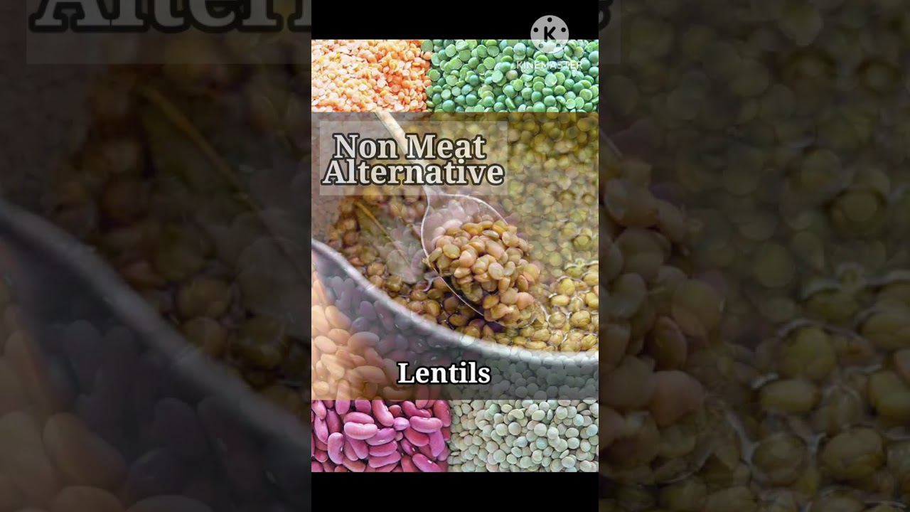 NON-MEAT ALTERNATIVE