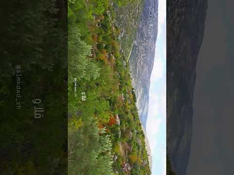 جبال الساحل قلا وا قلبي قلا وفيق حبيب