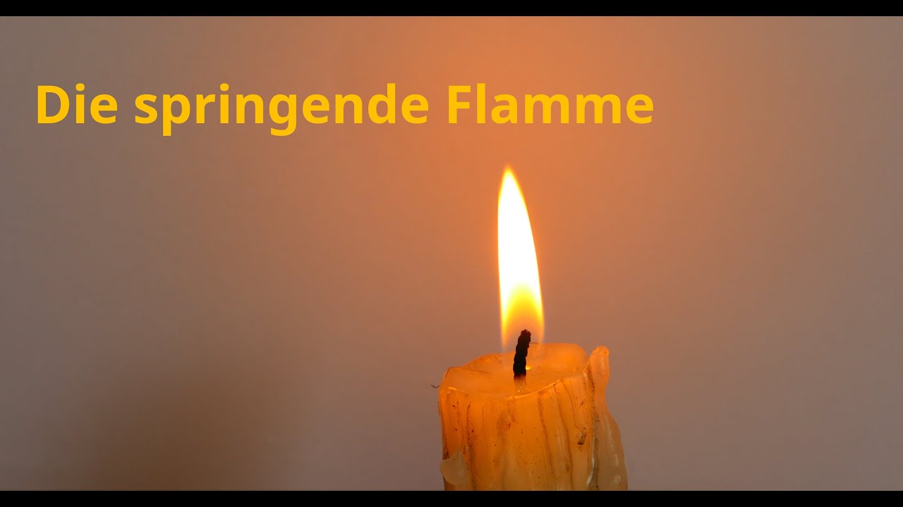 Springende kangoeroe