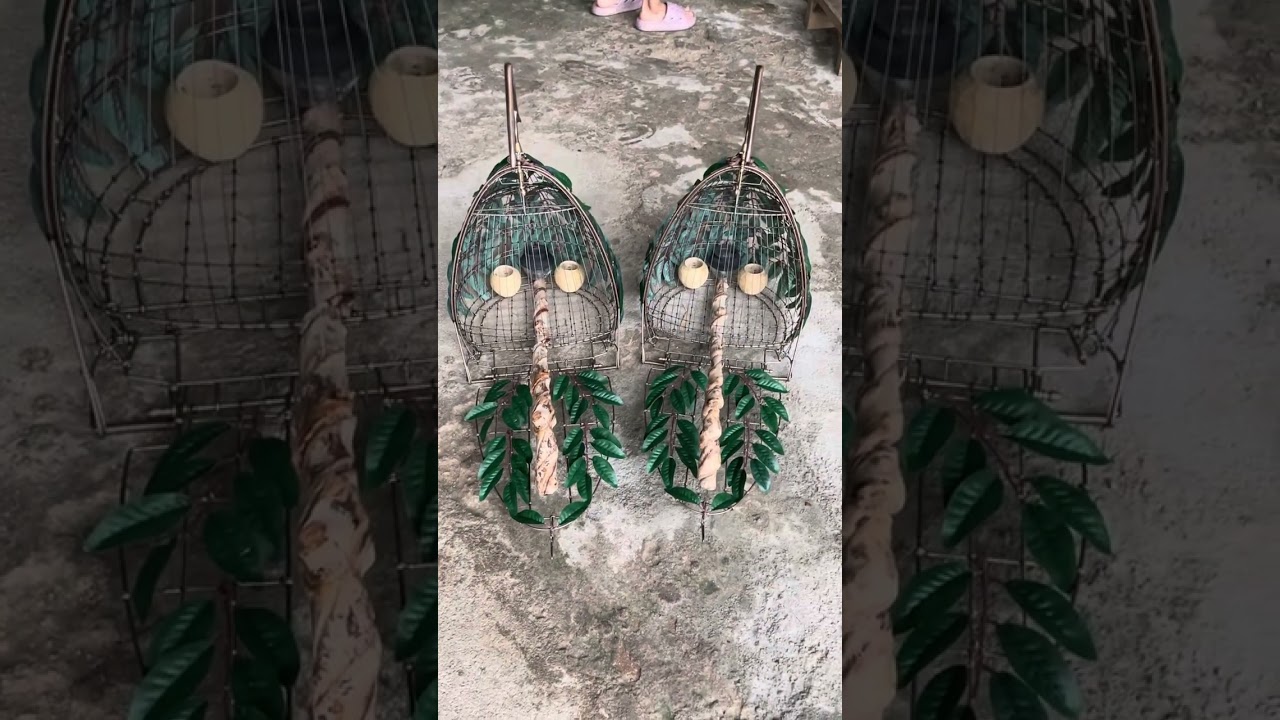 Cặp Lụp đi Lâm Đồng 