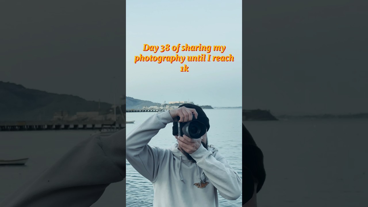 Everyday life in the city 