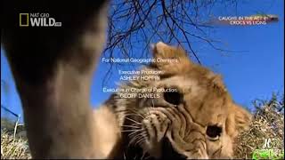 Caught In The Act 4 Crocs Vs Lions Outro