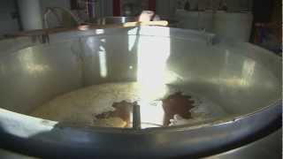 Apocalypse Brew Works