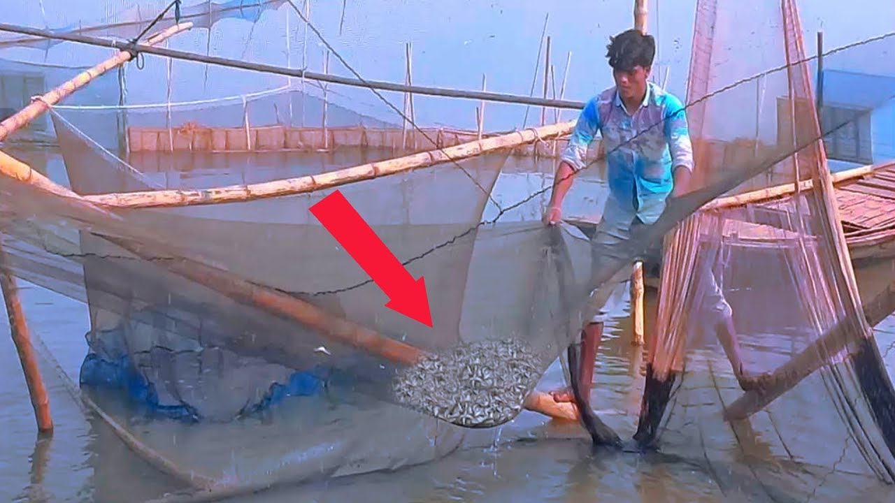 Amazing fish catching Technology _ Fishing By instrument _ Catching Lot