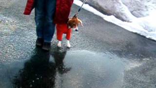 DSCF6224.AVI