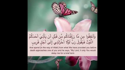 تلاوة عطرة للشيخ احمد العجمي {سورة المنافقون}