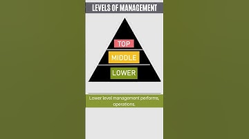 Levels of Management