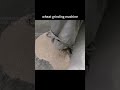 wheat flour grinding grinder machine/ pin mill grinding machine #grindingmachine #grindermahine