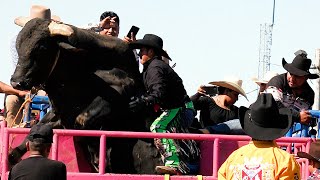 No Pudieron con el Toro Se Brinco El Cajon