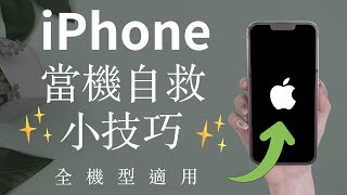 (Chinese) Fix Any iPhone Frozen/Stuck/Loop Screen (How to Force Restart!)