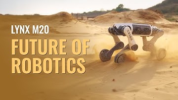 Future of Robotics: Lynx M20, Unitree Go2 & B2 Redefine Mobility & Intelligence