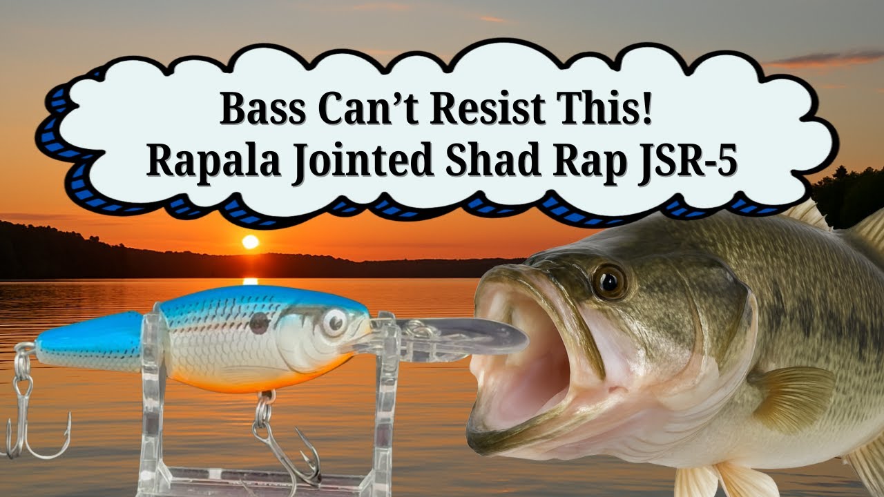 Bass Can’t Resist This – Rapala Jointed Shad Rap JSR 5