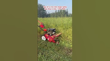 🌿 MÁY BĂM CẮT CỎ TRỤC BĂM CHUYÊN NGHIỆP – TỰ HÀNH TIỆN LỢI 🌿✅ Động cơ xăng 7.5Hp,  #automobile