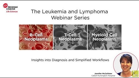 B-Cell Neoplasms - Insights into Diagnosis and Simplified Workflows